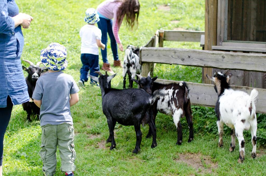 Kinderhotel Appelhof 멀저스테크 외부 사진