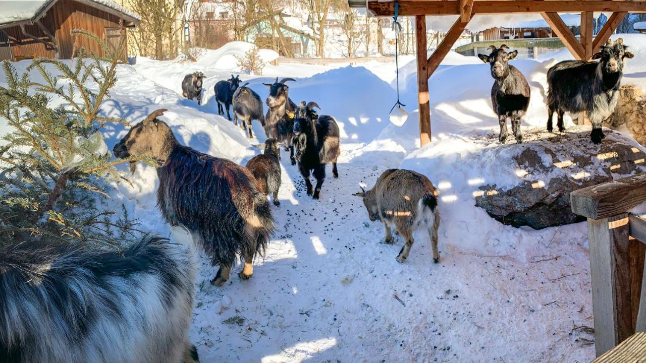 Kinderhotel Appelhof 멀저스테크 외부 사진
