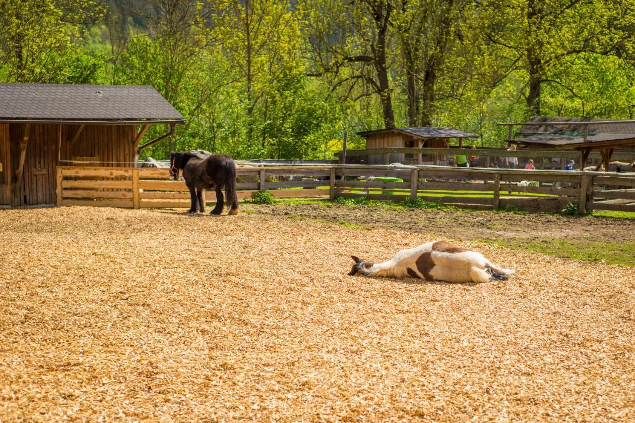 Kinderhotel Appelhof 멀저스테크 외부 사진